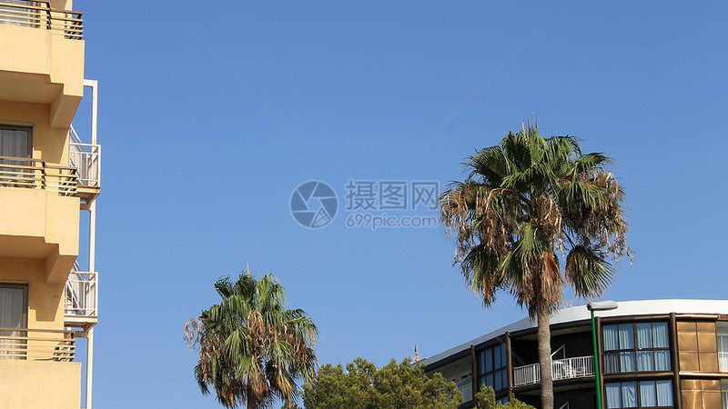 户外拓展团建项目报价
